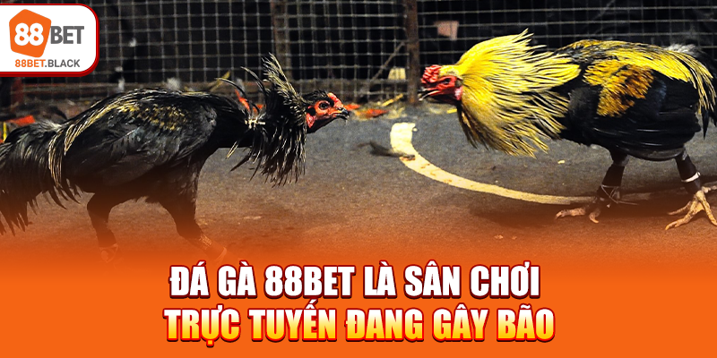 Đá gà 88BET là sân chơi trực tuyến đang gây bão